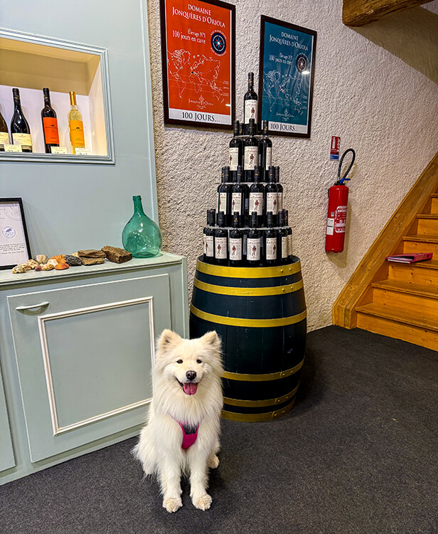 Coco poses in front of the range of Jonquères d’Oriola Vignobles wines