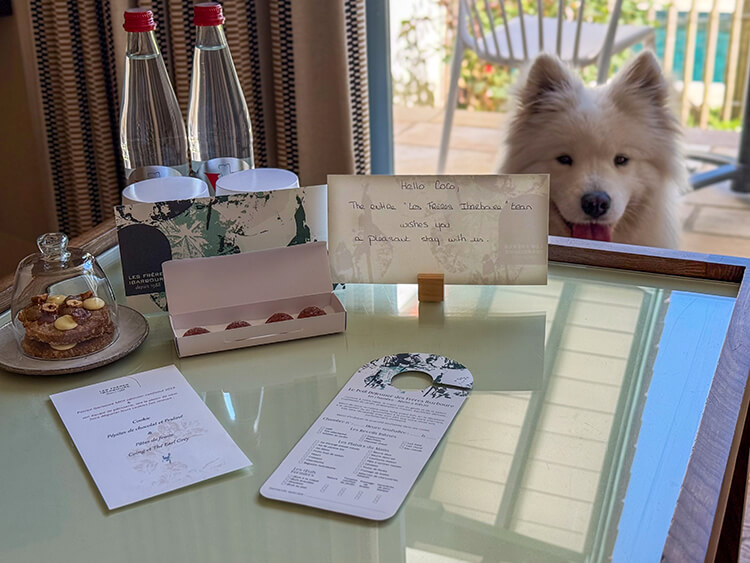 Coco sits behind a table with cookies, pâtes des fruits, and dog treats at Les Frères Ibarboure