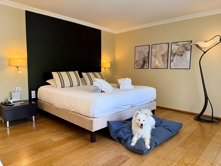 Coco lays on a giant dog bed at the foot of a king size bed in a room with gray and cream tones at Les Frères Ibarboure