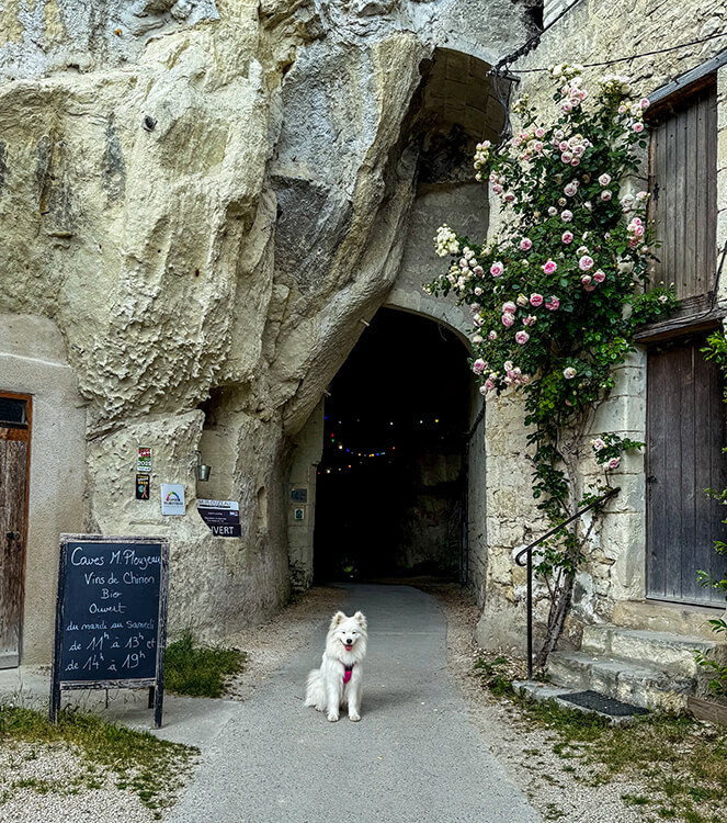 The entrance to the Caves Plouzeau cut into the stone in Chinon, France