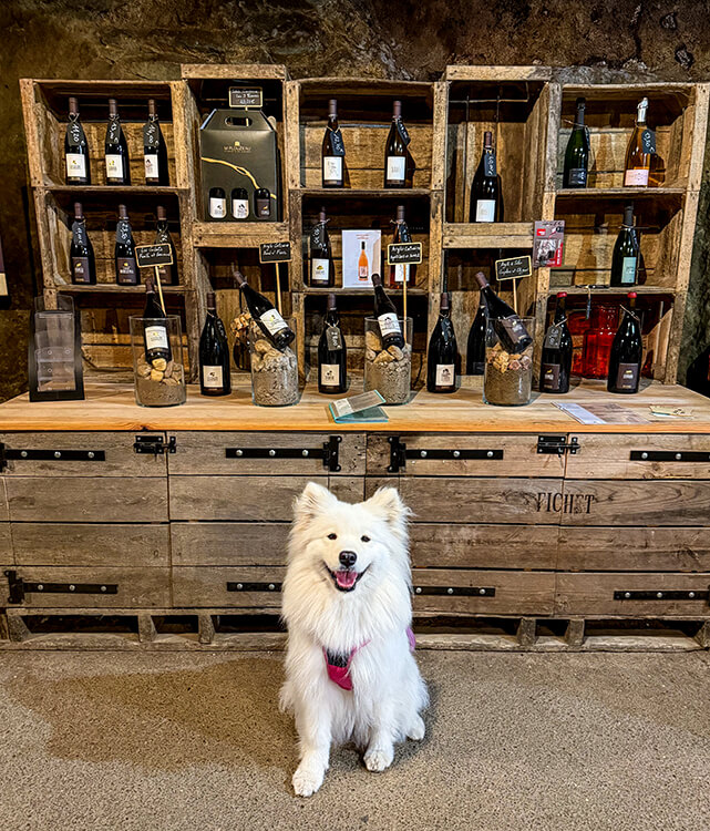 The boutique selling wines in Caves Plouzeau in Chinon