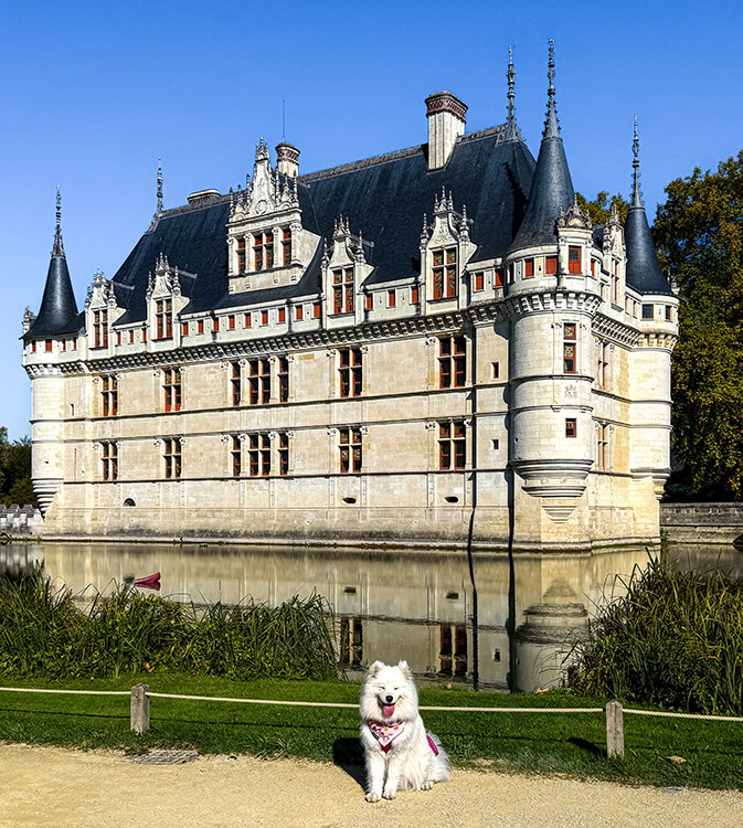 Coco sits with the Indre River creating a mirror affect with Château d’Azay-le-Rideau reflecting on the river in the Loire Valley