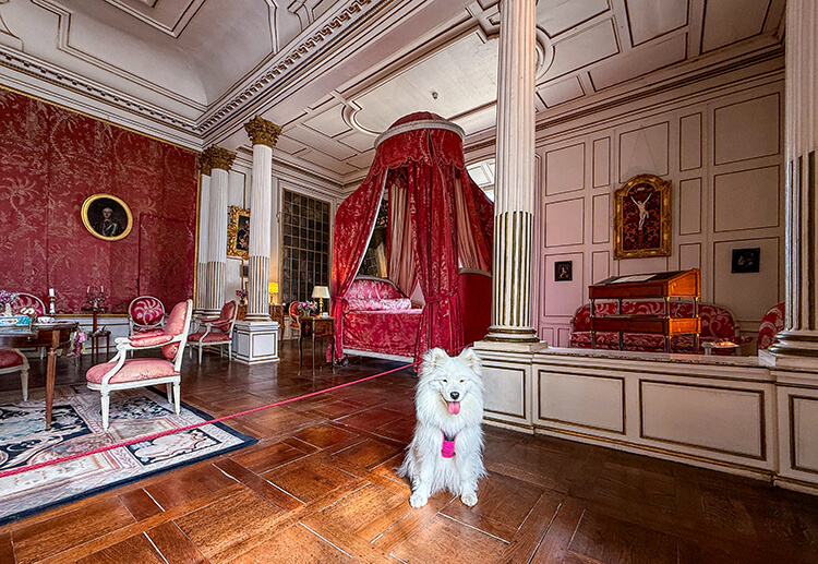 The pink King's Room with rich tapestries and precious objects at Château d'Ussé in the Loire Valley