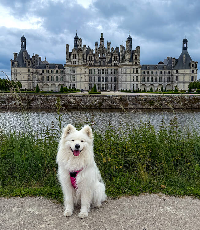 Coco poses across the small river surrounding Château de Chambord in the Loire Valley