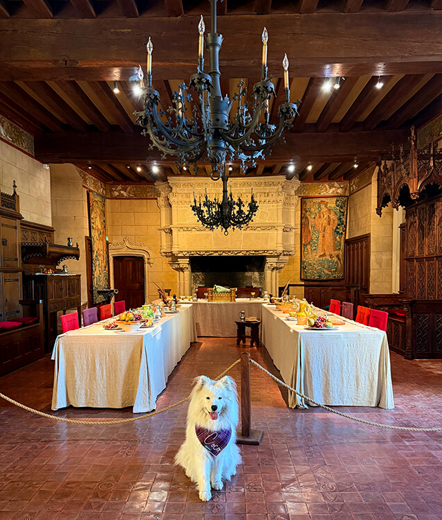 The banquet hall tells the story of the wedding feast of the secret marriage of Charles VIII and Anne of Brittany at Château de Langeais in the Loire Valley