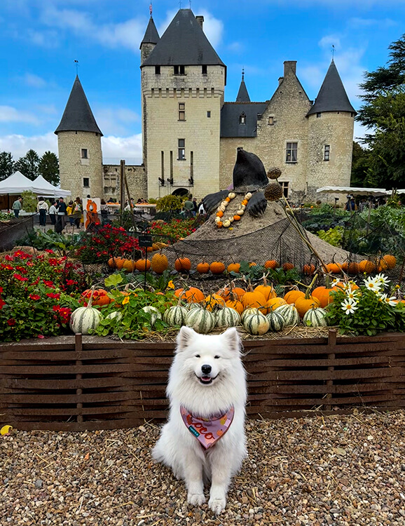 Coco poses at Château du Rivau with the pumpkin sculptures and decorations for the Fête de la Citrouille in the Loire Valley