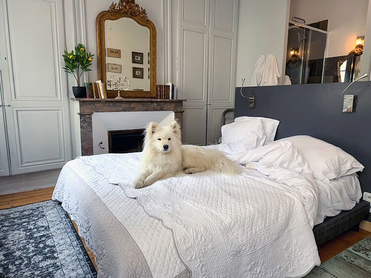 Coco lays on the queen size bed in our apartment at Nature & Châteaux in Chinon
