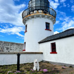 Coco sits at the base of the light tower, which is connected to the main house, inside the walled in grounds of Clare Island Lighthouse