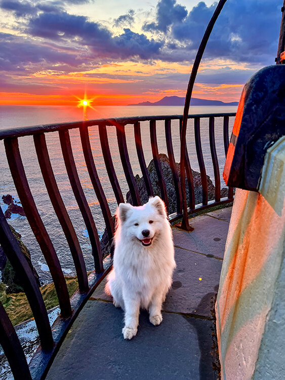 Coco sits at the top of the light tower as the sun nearly sets in to sea behind her at Clare Island Lighthouse
