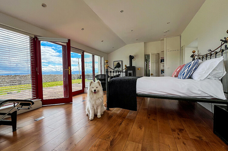 Coco sits in the large bedroom of the Sauna Suite with the French doors open to the patio and garden, a wrought iron period bed frame and woodburning stove at Clare Island Lighthouse