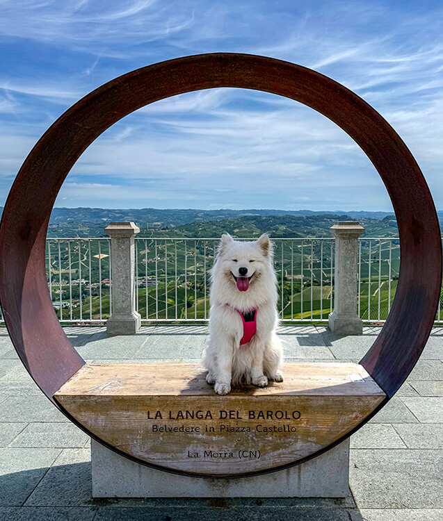 Coco sits in a circle sculpture on the Belvedere di La Morra with the Barolo vineyards stretching out behind her