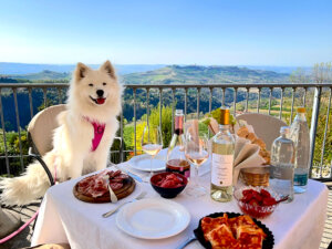 Coco sits at a table with bottles of Roberto Sarotto wine, local cured meats, and cheeses for a wine tasting in Rodello in the Barolo wine region
