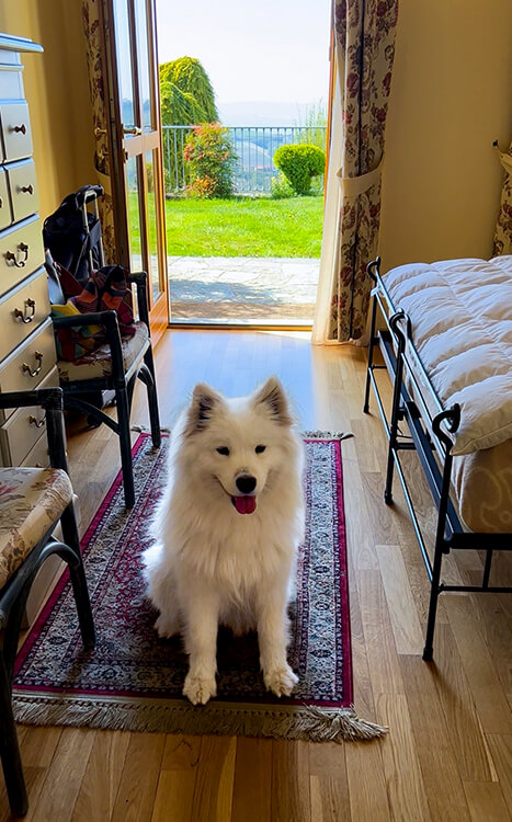 Coco sits in our room at La Sismonda with the door open directly to the garden and panoramic view