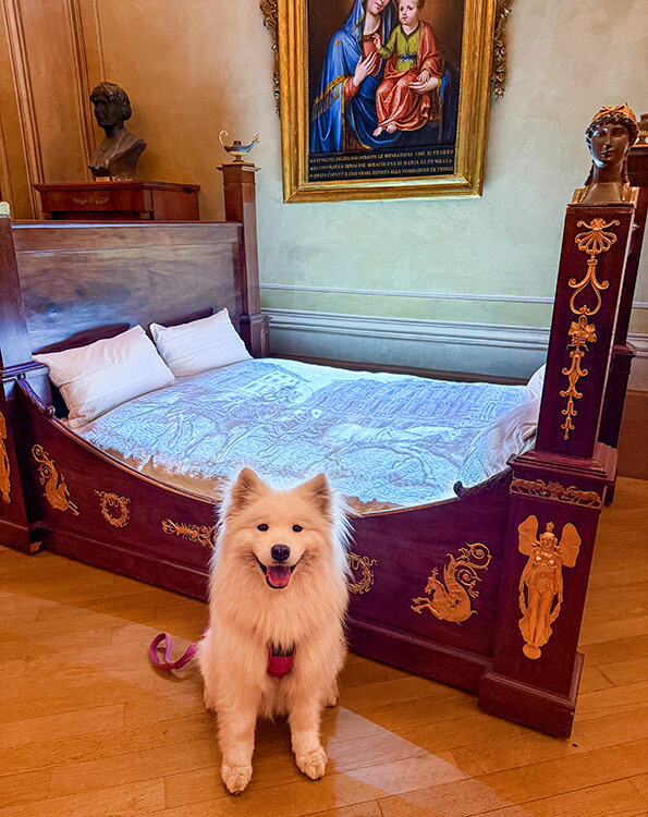 Coco sits beside a period piece bed with a movie about wine playing on the comforter at the WiMu Wine Museum of Barolo