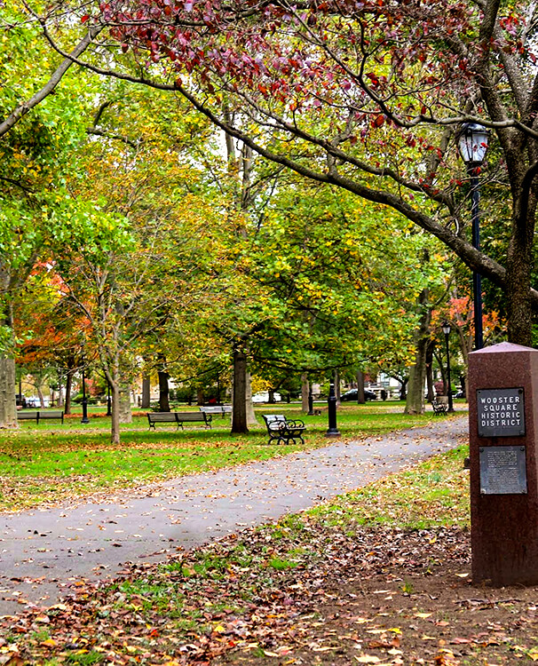 A bench under the leaves starting to change colors in late summer in Wooster Square Park in New Haven, Connecticut
