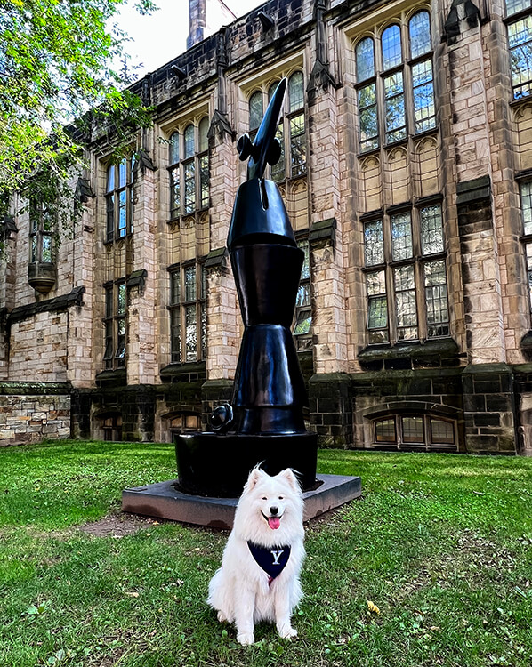 Coco poses in front of a public art sculpture outside the Yale School of Music in New Haven, Connecticut