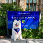 Coco poses in front of the Yale Law School sign and entrance at Yale University