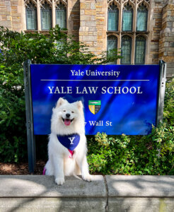 Coco poses in front of the Yale Law School sign and entrance at Yale University
