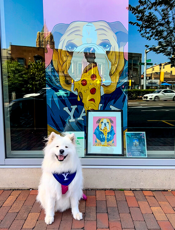 Coco wears a Yale pet bandana and poses next to an art work of Handsome Dan with apizza at The Shops at Yale in New Haven, Connecticut